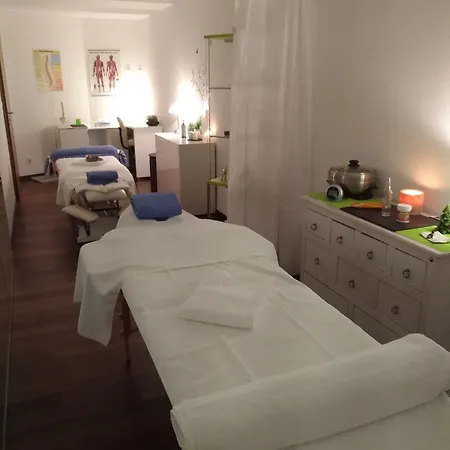 The Phoenix Fitness & Free Access At Alpen Zermatt