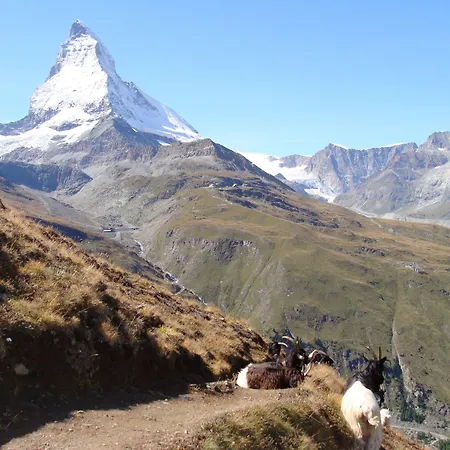 Phoenix Готель 3*