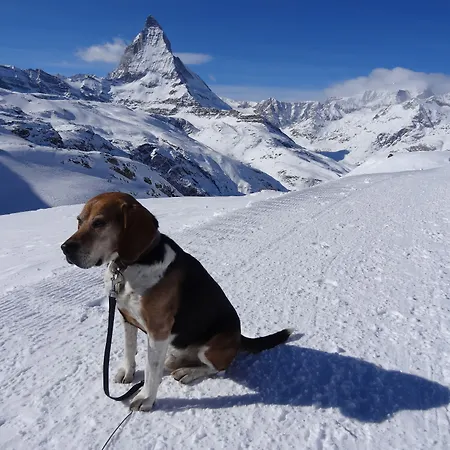 Готель Phoenix 3*