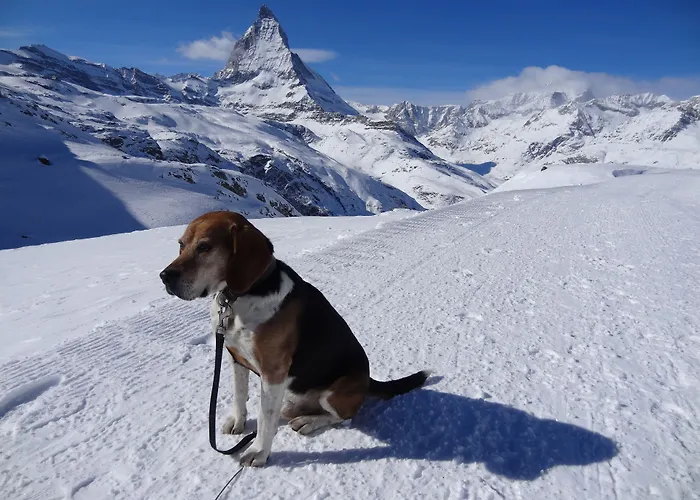 ホテル フェニックス 3*