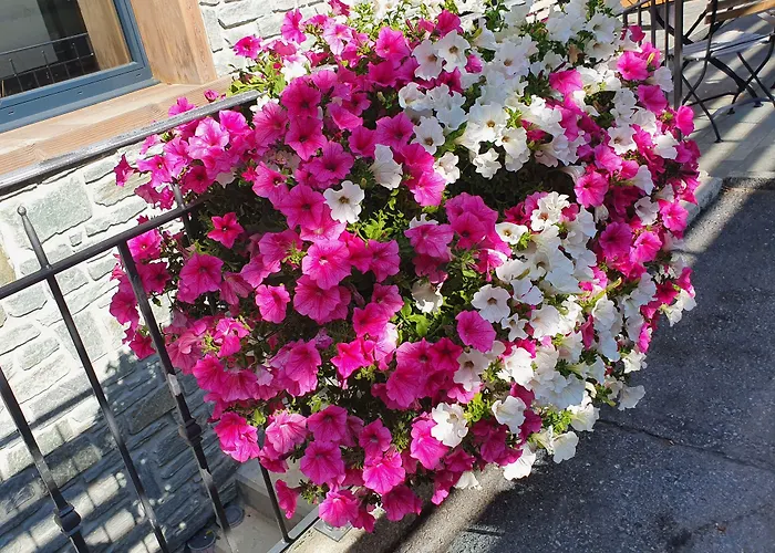 ホテル フェニックス